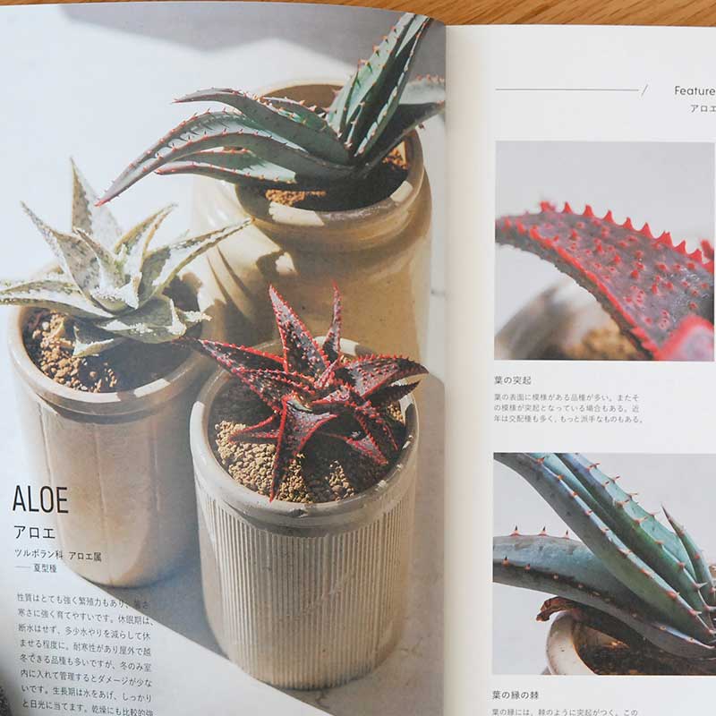 書籍 「はじめての多肉植物栽培」