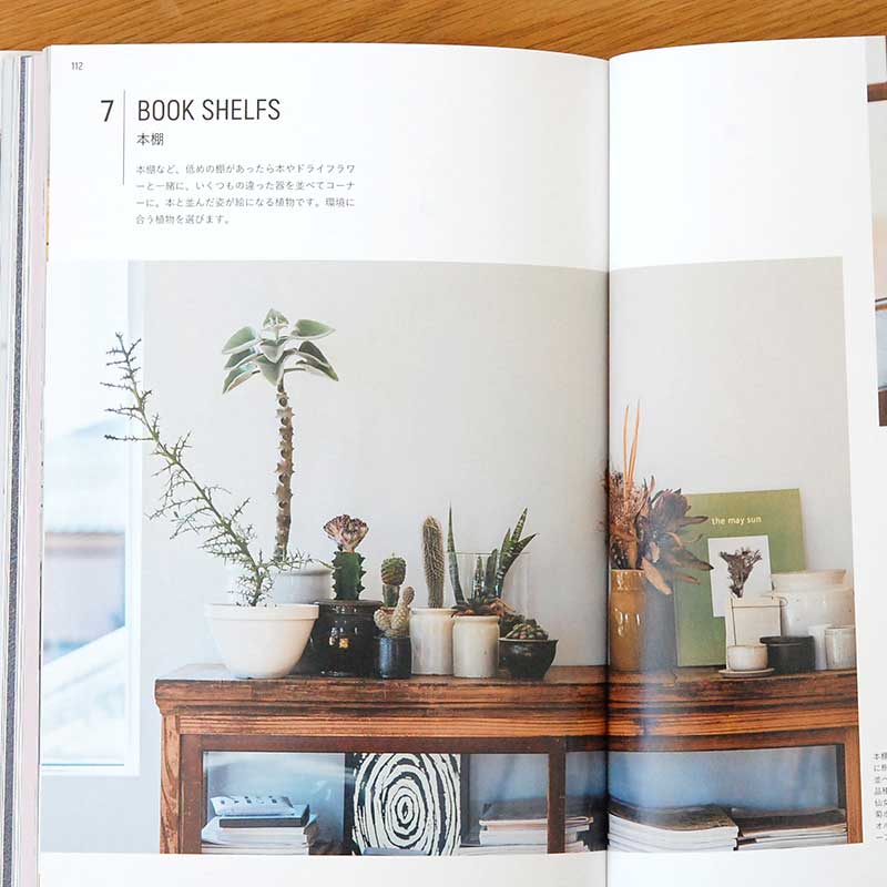 書籍 「はじめての多肉植物栽培」