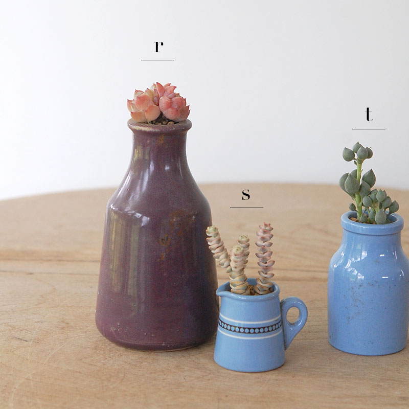 succulent x bule antique イギリスジャー