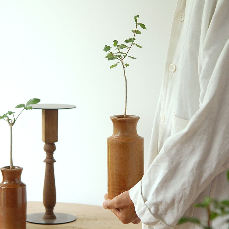 Commiphora x antique イギリスジャー