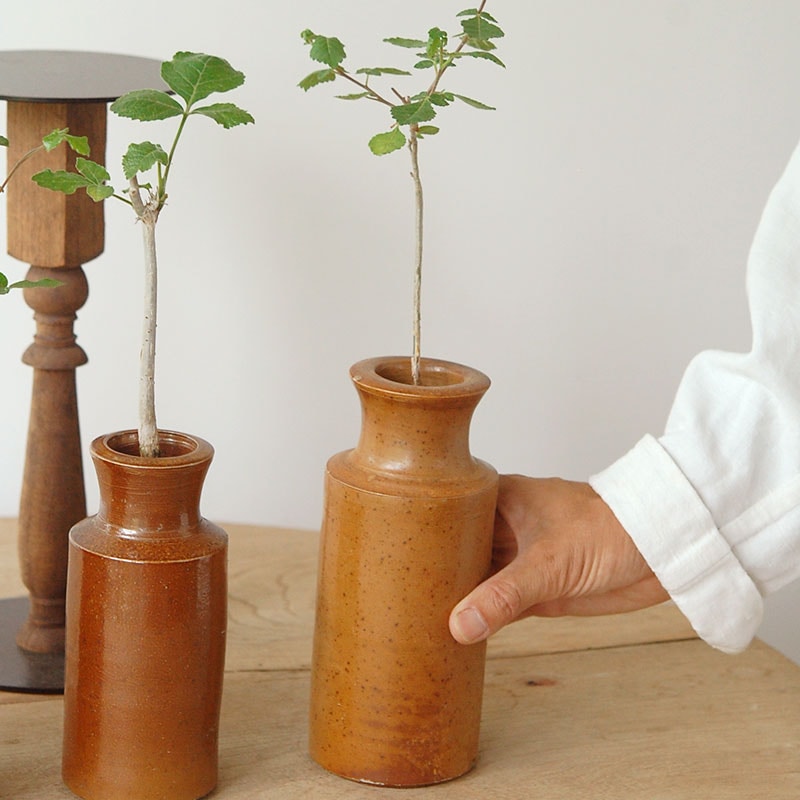 Commiphora x antique イギリスジャー