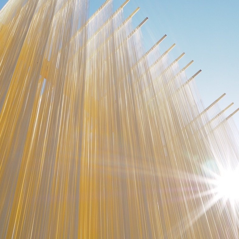 �ڥ᡼���ء���θ� ���٤������ ���� 250g��3��