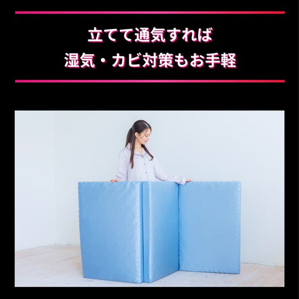 륭ե ޤޥåȥ쥹 DHʾк