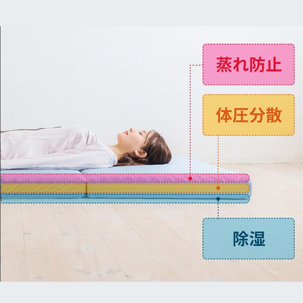 륭ե ޤޥåȥ쥹 DHʾк