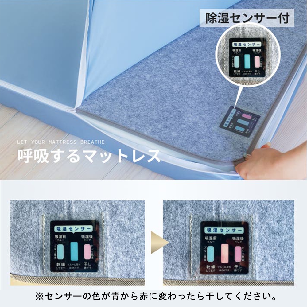 륭ե ޤޥåȥ쥹 DHʾк