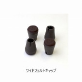 磻ɥեȥåס100-00021184