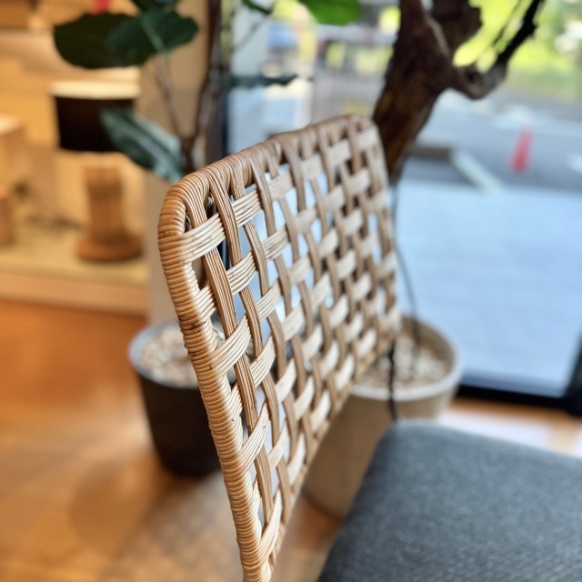 LILY(��ꥣ)�����˥󥰥�����