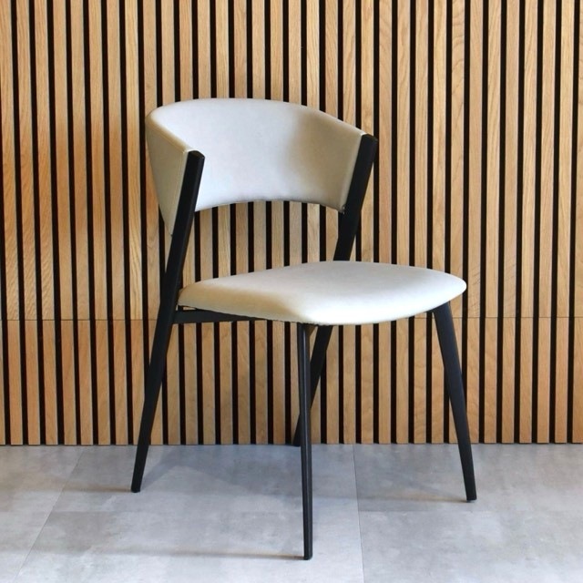 LEONE(�쥪���͡˥����˥󥰥�����