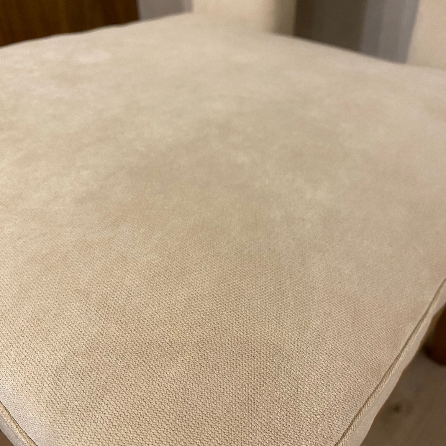 Dining Chair��ELMO�ˡڲ���Ź��