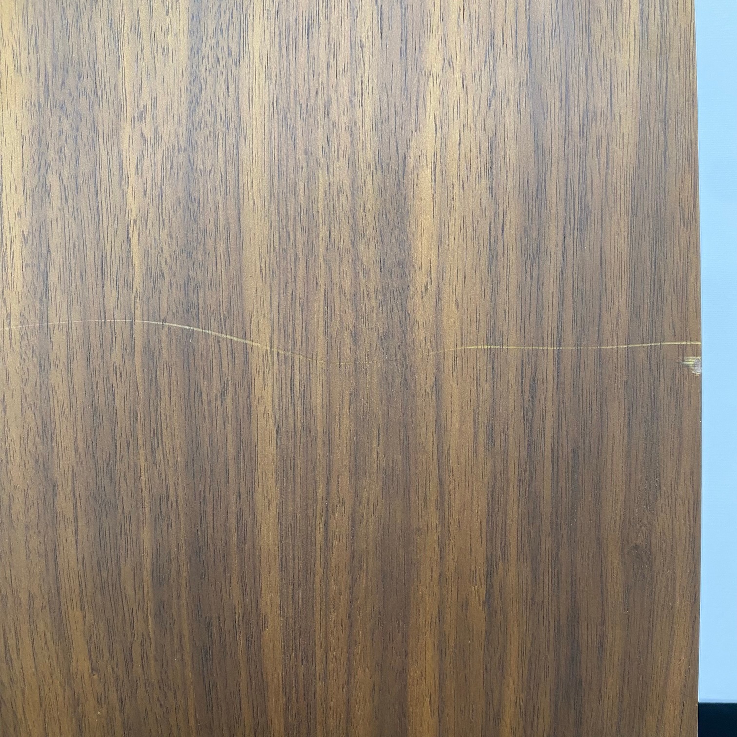 Dining Chair��LEO�ˡڲ���Ź��