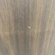 Dining Chair��LEO�ˡڲ���Ź��