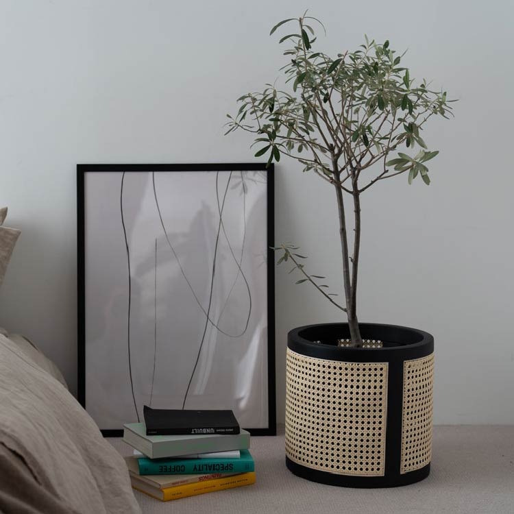 �Х����åȡ�OAK��)����WEB������48-109630/109631-OAK��