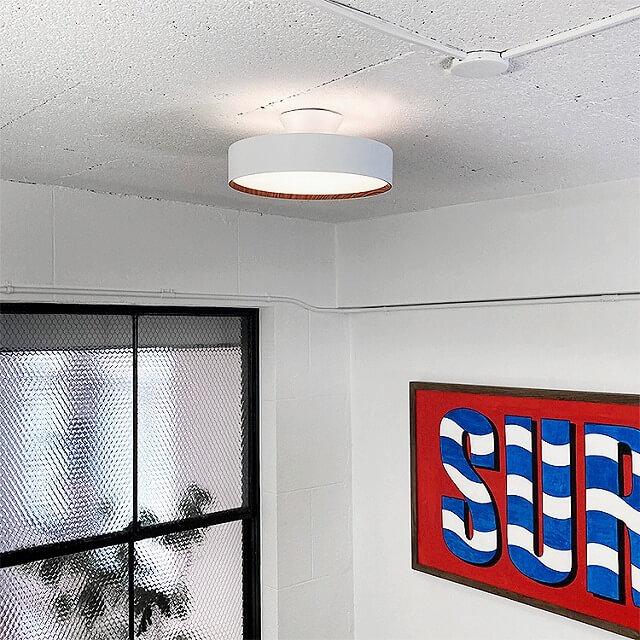 CEILING  LAMP330-68449-WH/LWˡ12
