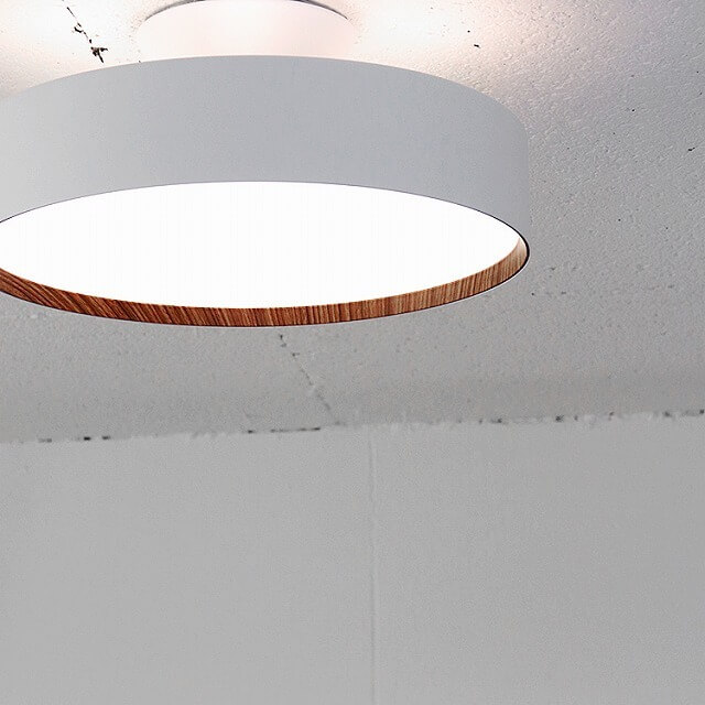 CEILING  LAMP330-68449-WH/LWˡ12