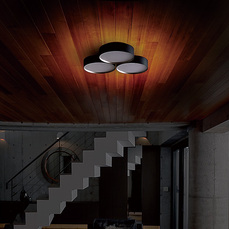 CEILING  LAMP330-79196-WH/LWˡ12
