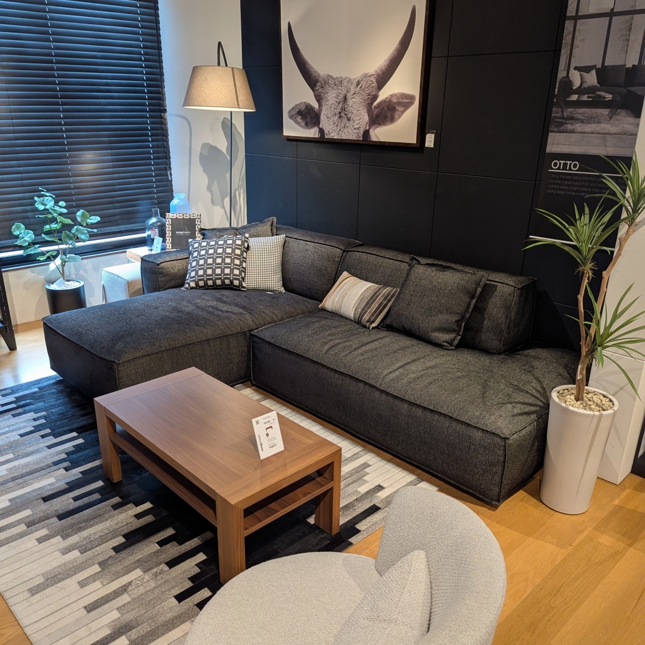 SOFA��OLIVIA)�ڰ���Ź��