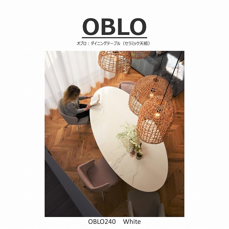 ڥۥ磻ȥߥåŷġOBLOʥ֥˥˥󥰥ơ֥