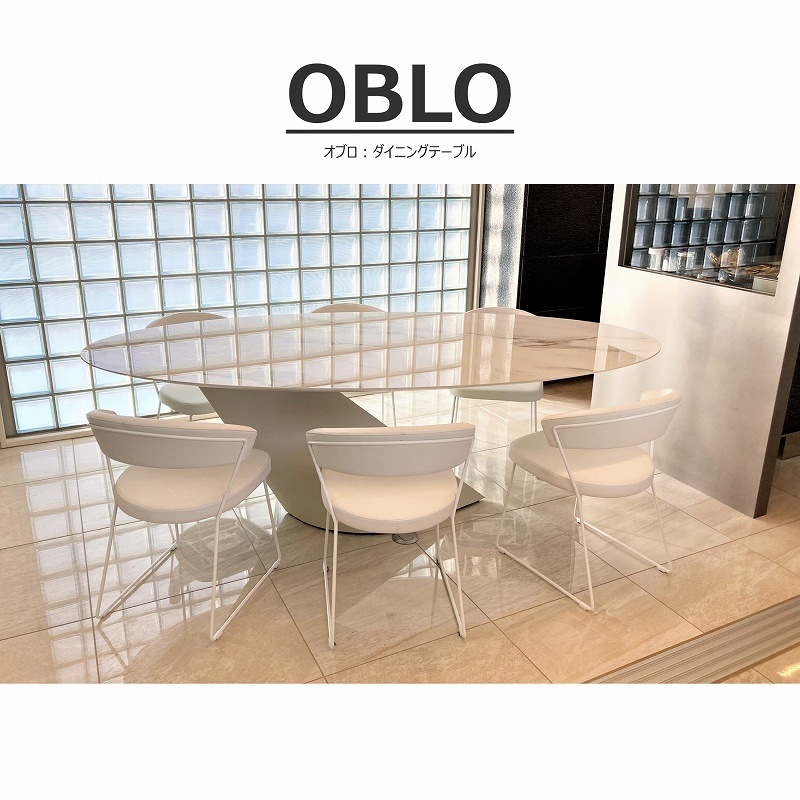 ڥۥ磻ȥߥåŷġOBLOʥ֥˥˥󥰥ơ֥