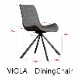VIOLA()ž˥󥰥