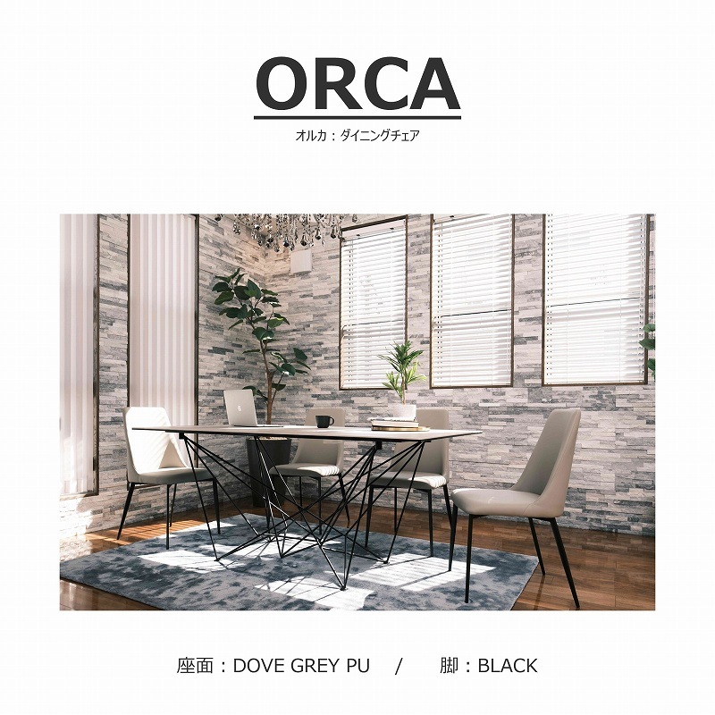 ORCA(륫˥˥󥰥