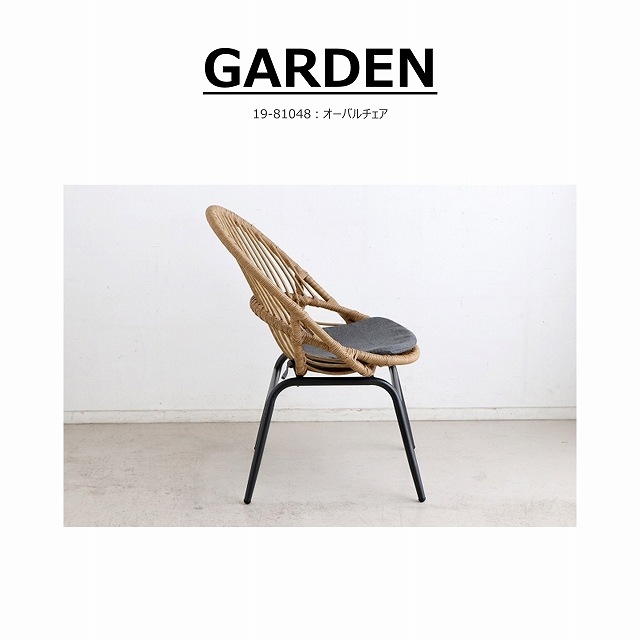 �����Х������ ��19-81048��