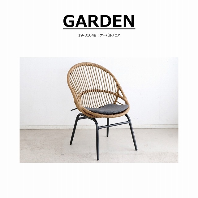 �����Х������ ��19-81048��