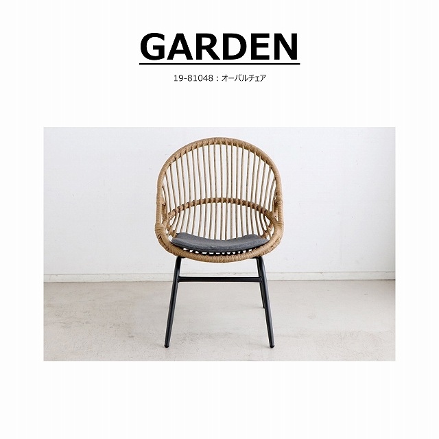 �����Х������ ��19-81048��