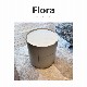 Flora�ʥե�����˥ʥ��ȥ�����ɡ�161-86102