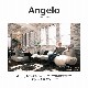 Angelo(󥸥)ե 160+Хåå2P