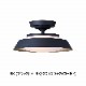 CEILING  LAMP330-110263/110264-WH/GD-BKˡ