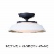 CEILING  LAMP330-110263/110264-WH/GD-BKˡ