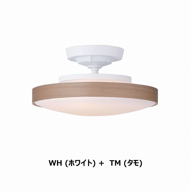 CEILING  LAMP330-110263/110265-TM/WHˡ