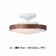 CEILING  LAMP330-110263/110265-TM/WHˡ