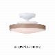 CEILING  LAMP330-110263/110265-TM/WHˡ