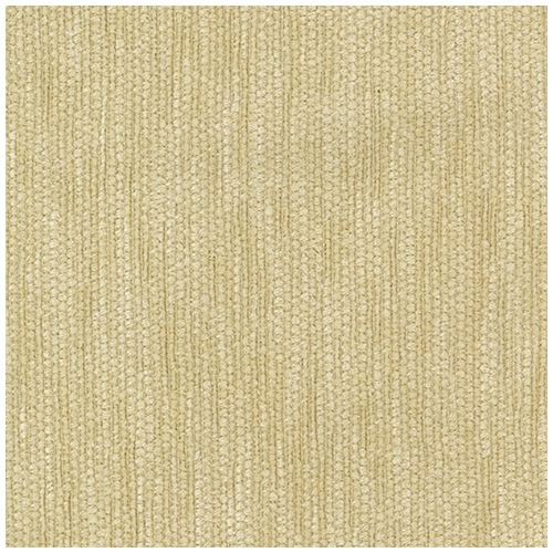 ɥå+ġ66-81170ˡWEBʡ