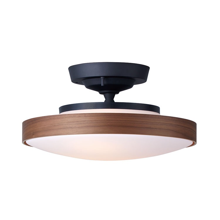 CEILING  LAMP330-110263/110265-TM/BKˡ