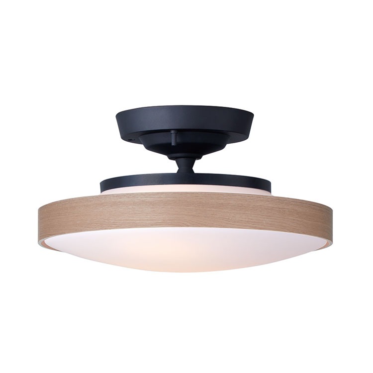 CEILING  LAMP330-110263/110265-TM/BKˡ
