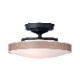 CEILING  LAMP330-110263/110265-TM/BKˡ