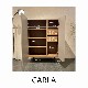 CARLA()ɥܡ