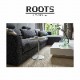 ROOTS�ʥ롼�ġ˥����ɥơ��֥�