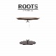ROOTS�ʥ롼�ġ˥����ɥơ��֥�