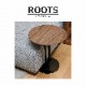 ROOTS�ʥ롼�ġ˥����ɥơ��֥�
