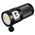 ������̵����bigblue�ʥӥå��֥롼�� CB-11000P LED�饤�� ����饤�� �����ӥ� ���滣��