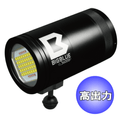 ����̵�� bigblue�ʥӥå��֥롼�� VL-36000P �饤�� �����ӥ� �����ӥ� ����饤��