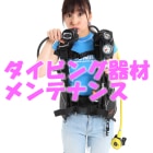 SONIA�ʥ��˥��� �����С��ۡ��� �쥮��졼�� 1ST�Τ�