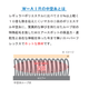 ����̵�� SONIA�ʥ��˥��� �ڥۥåȥ��ץ���� ���֥륨���� ���硼�ȥѥ�� ��å��奬���� ��� ��ǥ�����
