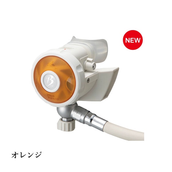 ������̵����Bism�ʥӡ�������� RB4300CW �ۥ磻�ȥӡ���2 �쥮��졼���� WHITE Beans2 REGULATOR