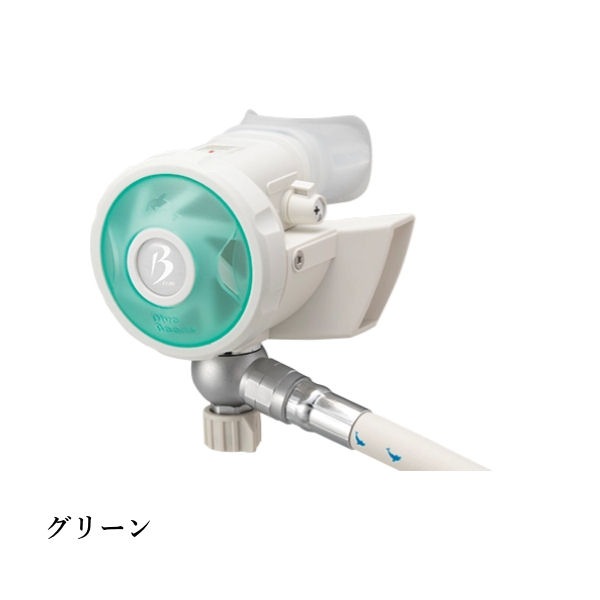 ������̵����Bism�ʥӡ�������� RB4300CW �ۥ磻�ȥӡ���2 �쥮��졼���� WHITE Beans2 REGULATOR