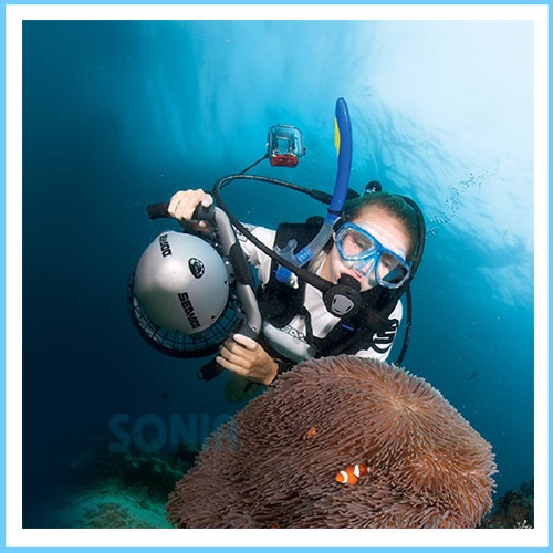 SEA-DOOʥ ɥ SD5540 SEASCOOTER GTI 