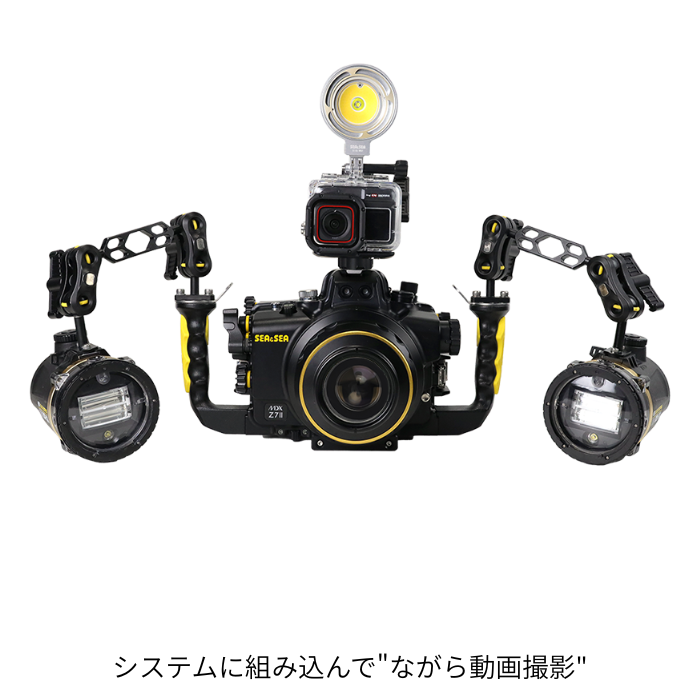 SEA��SEA�ʥ�������ɥ����� 09174/09175 LX ��������󥫥ॢ���ץ���  